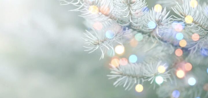 winter christmas tree