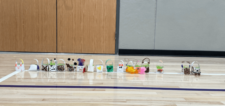 Panther Day May Day Baskets