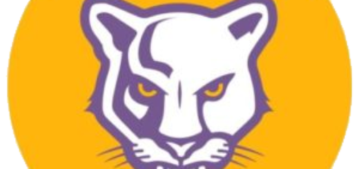 Lake Count School Panthers Logo