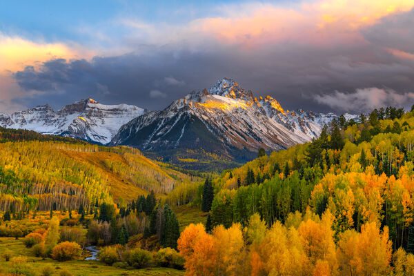 Autumn forest with Colorado mountains in the background.