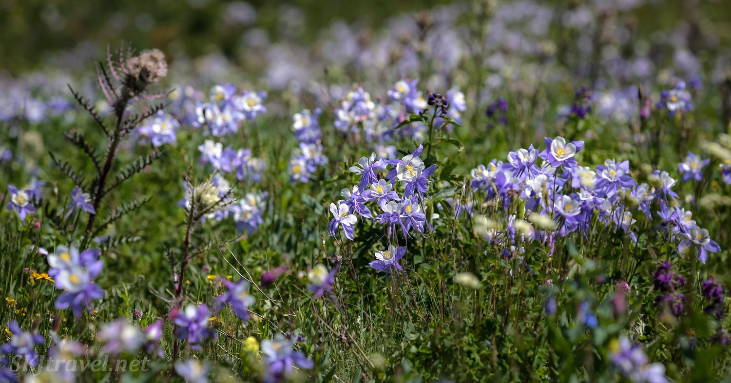 LCHS Spring Parent Teacher Conferences