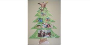 evergreen-pic-for-website