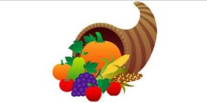 turkey-pic-for-website