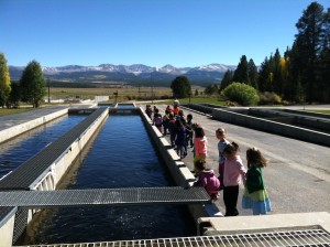 Kindergarten students visit the National Fish Hatchery