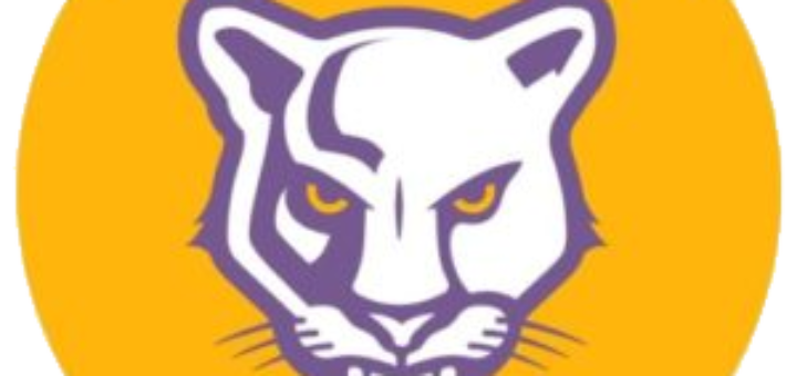 Lake County Purple Panthers Mascot atop a yellow circular background.