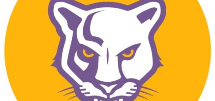 Lake County Purple Panthers Mascot atop a yellow circular background.