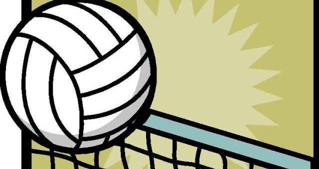 Picture of volleyball and net